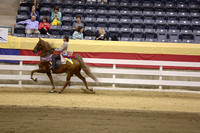 152.  Five-Gaited Pony Championship