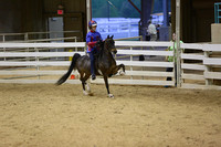 164.  Juvenile Road Pony Under Saddle Championship