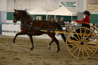 37, 38, & 39  Carriage - Turn Out, Working, & Reinsmanship