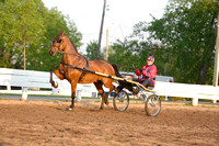 09.  Amateur Road Horse