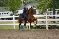 99a.  Five-Gaited Championship