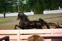 21.  Harness Pony