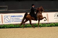Amateur Five Gaited Stake
