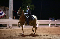 20-3-Year-Old  Five Gaited
