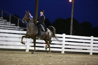 61-ASB Five Gaited Open