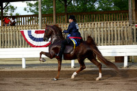 42.  Amateur Five-Gaited Stake