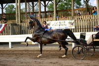47.  Open Dutch Harness Horse