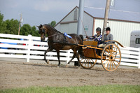 67.  Carriage Reinsmanship Horse-Pony