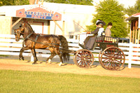 111.  Period Carriage Horse or Pony