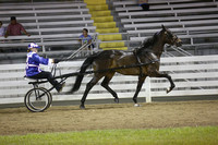 128.  Road Horse Championship