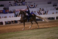 83.  Open Five-Gaited Stake