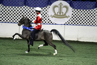 68-Road Pony Under Saddle Medallion