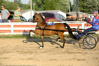 18.  Amateur Road Pony 52 in and Under