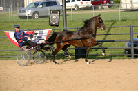 24.  Road Horse Championship