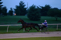 19.  Amateur Road Horse