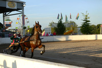 06.  Amateur Road Horse