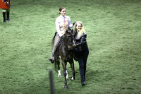 157.  AHHS Youth Pleasure Horse-Pony Under Saddle Nat Champion