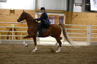 105.  ASB Five-Gaited Country Pleasure Stake