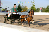 49.  Antique Carriage Driving