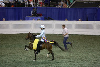 226.  Juvenile Road Pony Under Saddle Championship