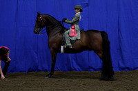 30-All Breed-WT Equitation 11 & Under-Hunt & Saddle Seat