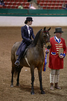 119.  Pleasure Equitation Championship