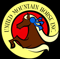 23-United Mountain Horse World Show-Official Photographer