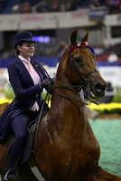13.  Equitation - 17 Year Olds