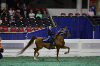 20.  Equitation - 16 Year Olds
