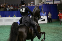 24.  Equitation - 14 Year Olds