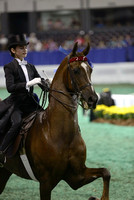 38.  Equitation - 11 Year Olds