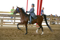 20.  SS-Junt Equitation 12 & Under-Pony
