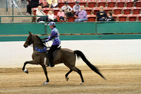 24-Road Horse Under Saddle
