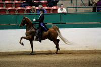 83-Saddle Seat Equitation