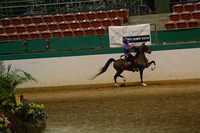 95-Road Pony Under Saddle Championship