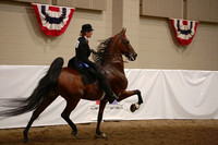 39.  ASB Open Five-Gaited