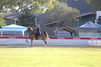 29-Equitation Five-Gaited Ch of Ch
