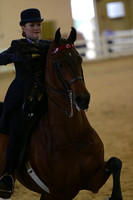 112.  Five-Gaited Country Pleasure Horse Championship