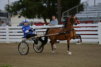 40B-Road Pony 52" and Under Amateur Div 2
