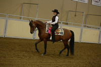 04-Morgan Western Pleasure Junior or Novice Horse