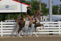 78-Parade Horse Championship