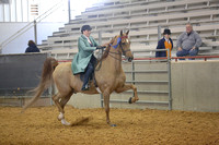 6. ASB Three Gaited Country Pleasure Adult