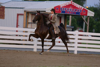 11-ASB Five Gaited Open