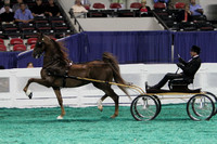 005.  ASR Junior Fine Harness Sweepstakes
