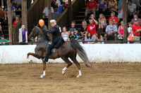 S-01-Five Gaited Amateur:Juvenile Stake