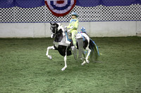 92.  Open Parade Horse
