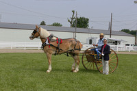 56-Draft Horse:Pony Cart Mens