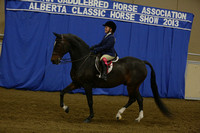 130A-AB WT Equitation Novice Rider