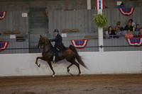 34.  Masters Five-Gaited