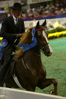 196.  Two-Year-Old Five-Gaited